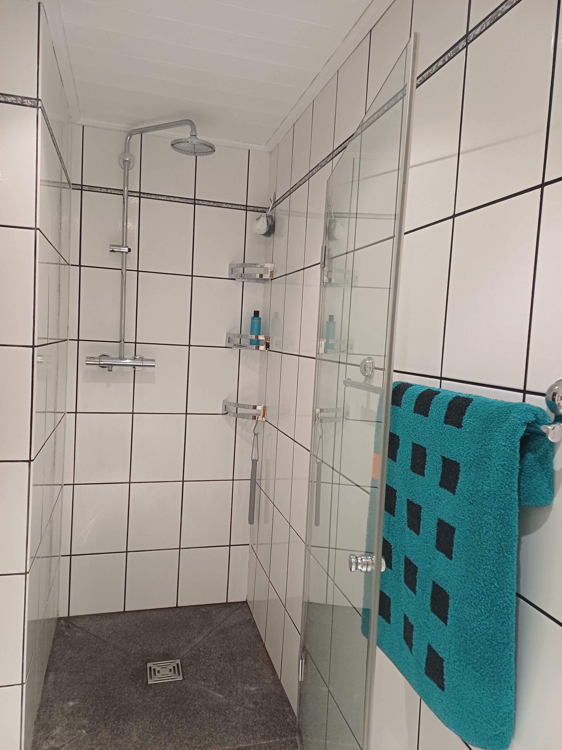 Ferienwohnung Oestrich-Winkel Rheingau – 20260209 174025 Scaled