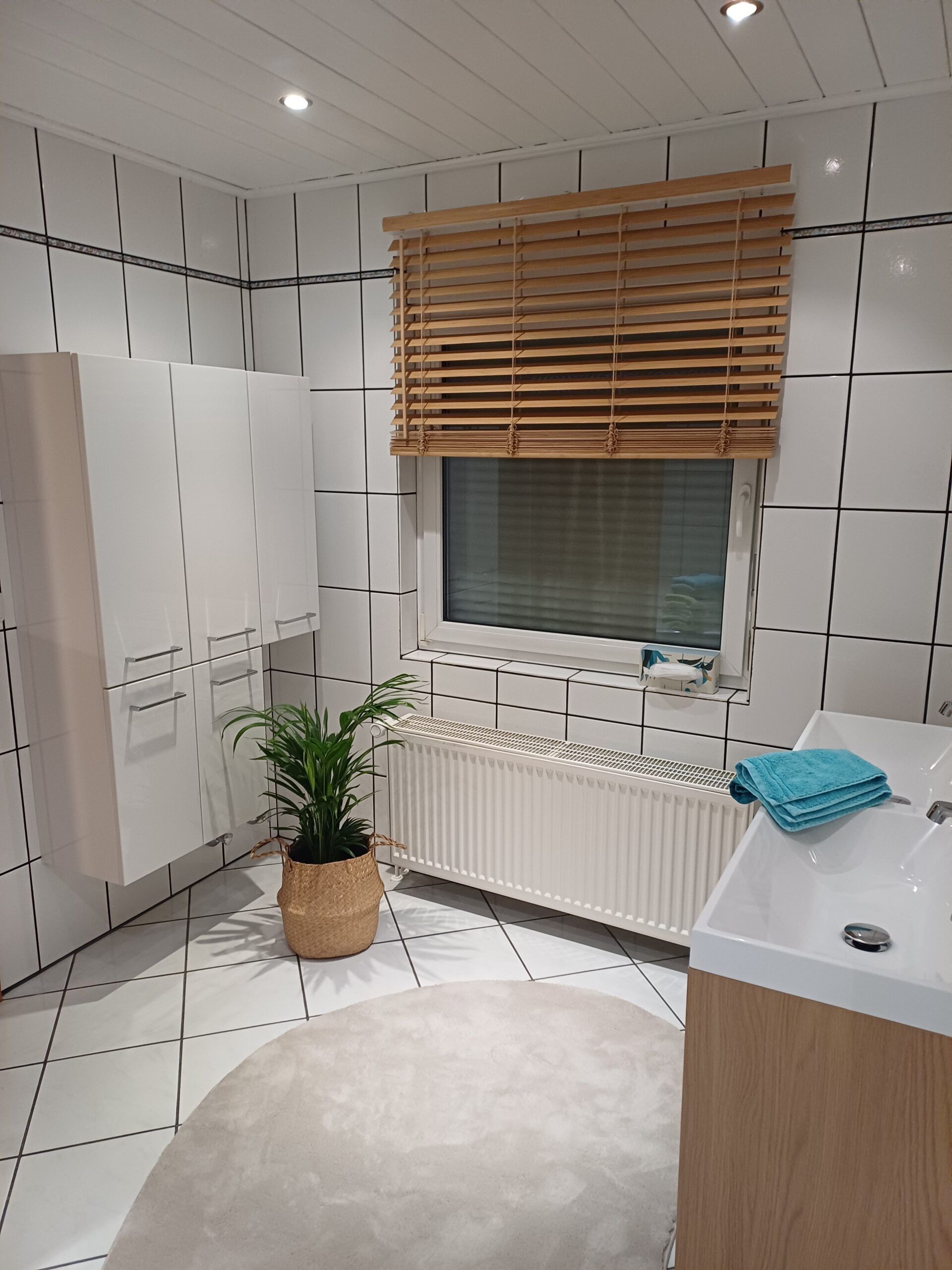 Ferienwohnung Oestrich-Winkel Rheingau – 20260209 174107 Scaled