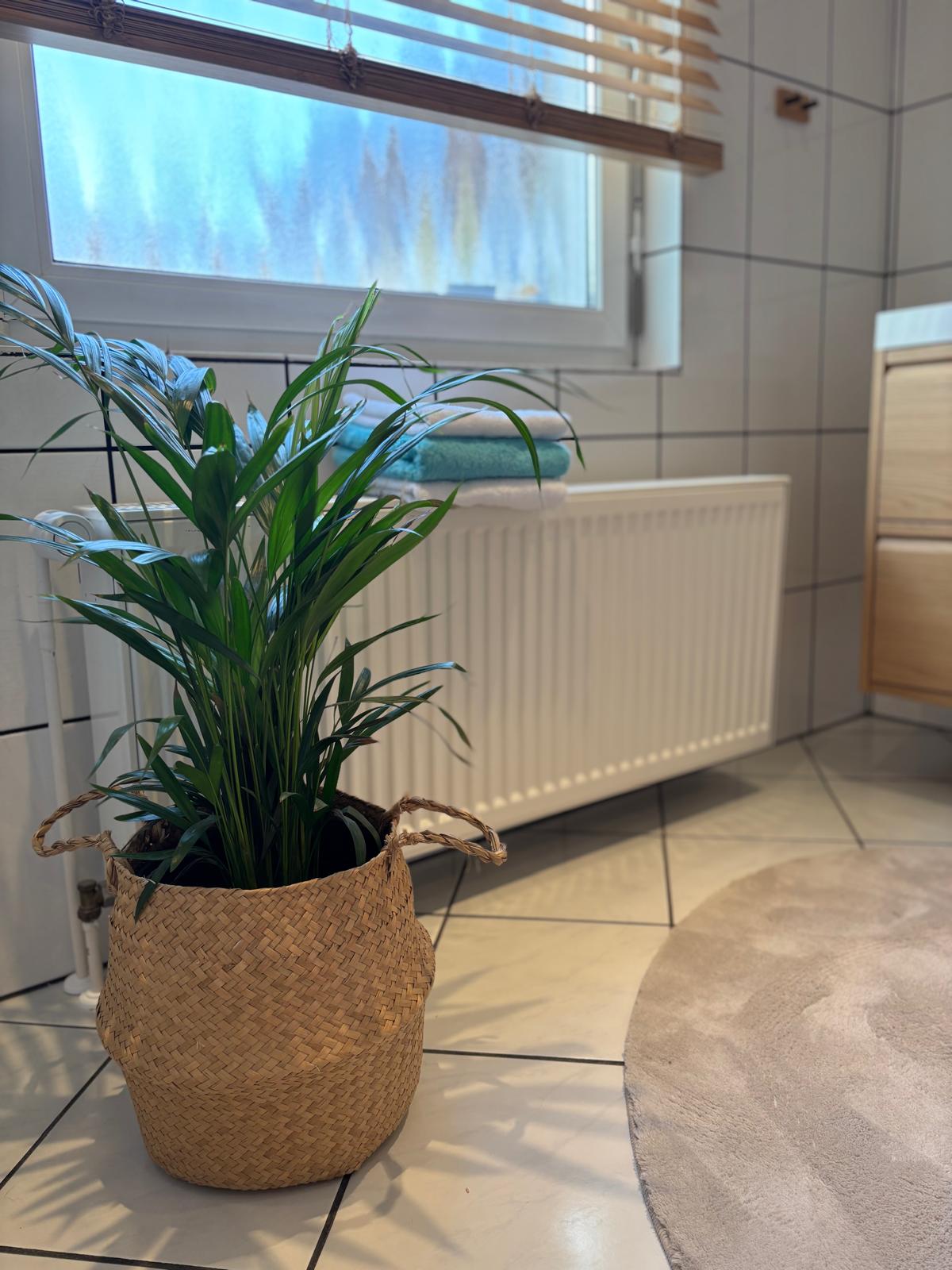 Ferienwohnung Oestrich-Winkel Rheingau – Img 20260412 Wa0084