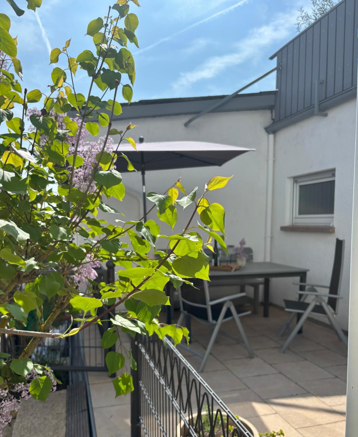 Ferienwohnung Oestrich-Winkel Rheingau – Img 20260412 Wa0158