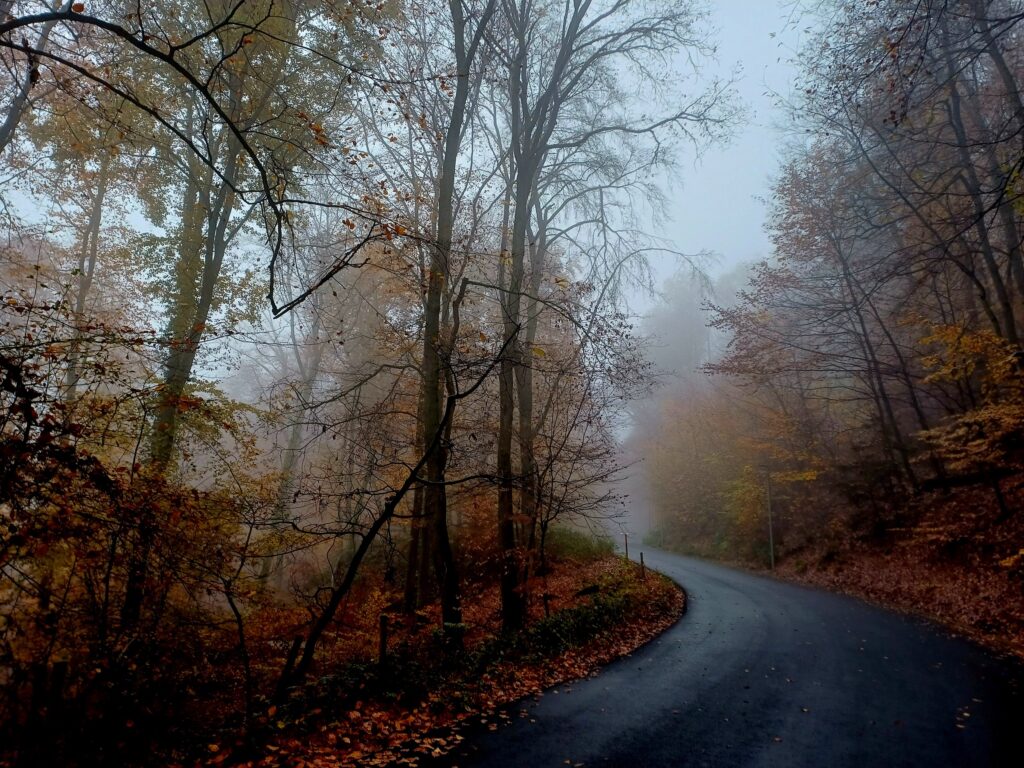 Niederwald im Herbstnebel – Wanderung im Rheingau