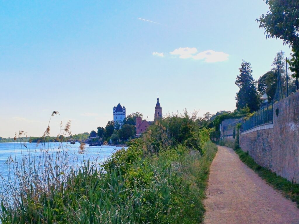 Abendsonne über dem Rhein – Rheingau-Panorama