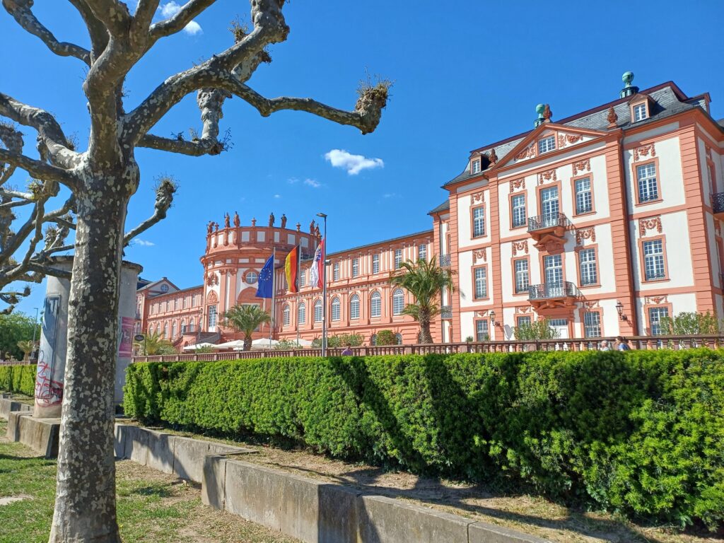 Rebenpfad durch die Rheingauer Weinberge – Wandern ab RheingauWinkel47