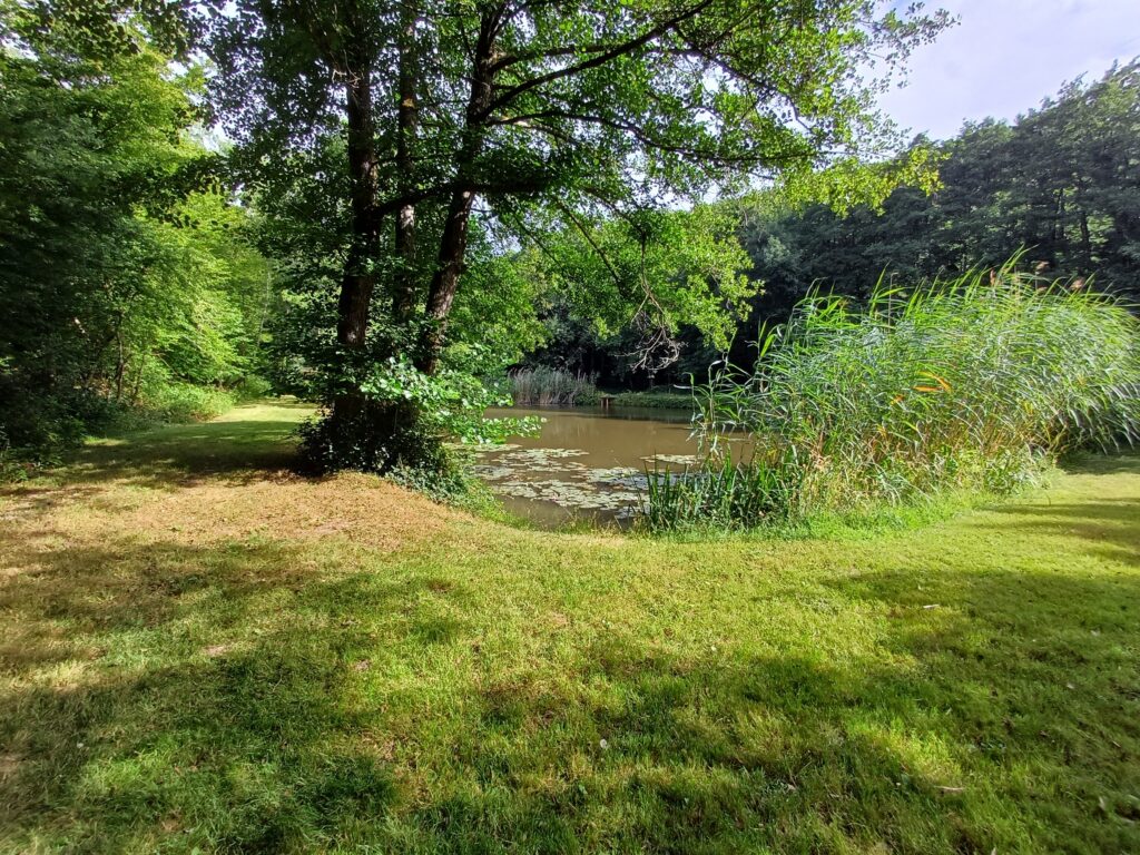 Sommermorgen im Rheingau – Umgebung RheingauWinkel47