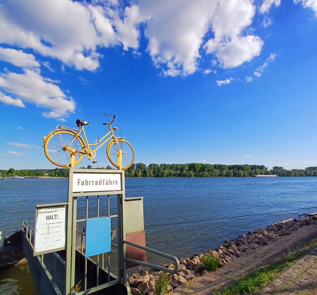 Rheinufer im warmen Abendlicht – Rheingau-Stimmung