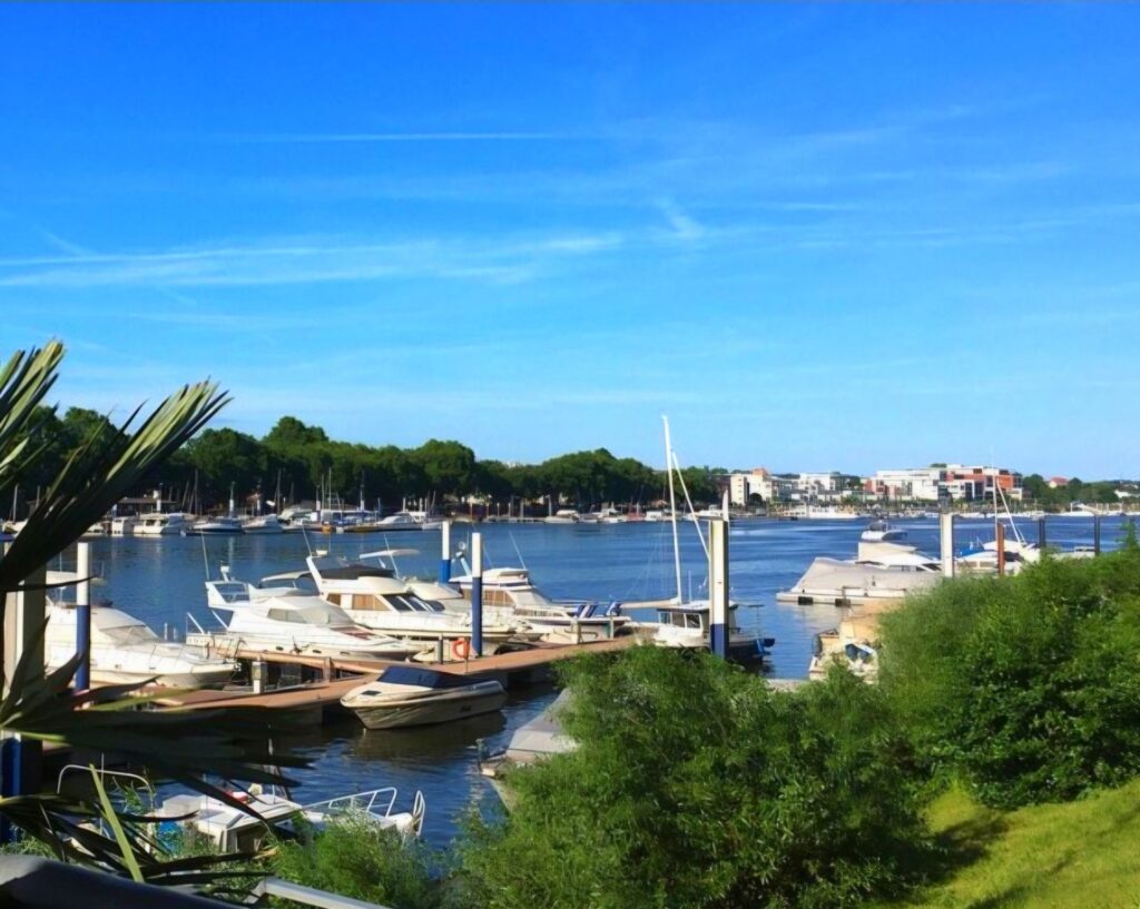 Yachthafen am Rhein – Wassersport in der Region Rheingau