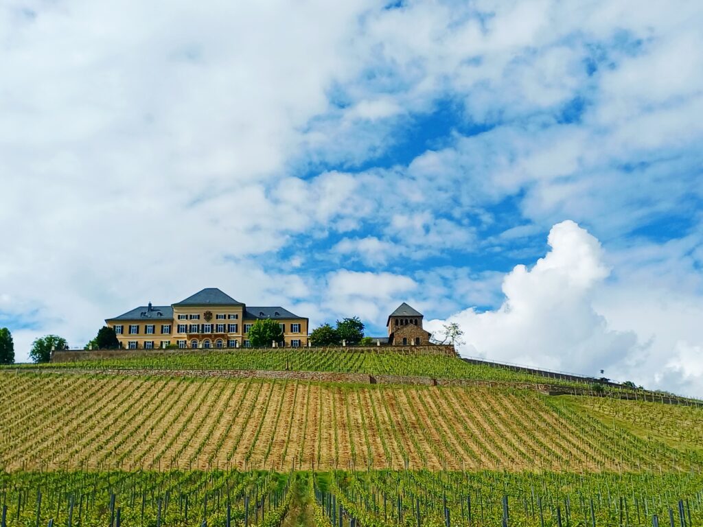 Schloss Johannisberg am Fuße der Weinberge im Rheingau