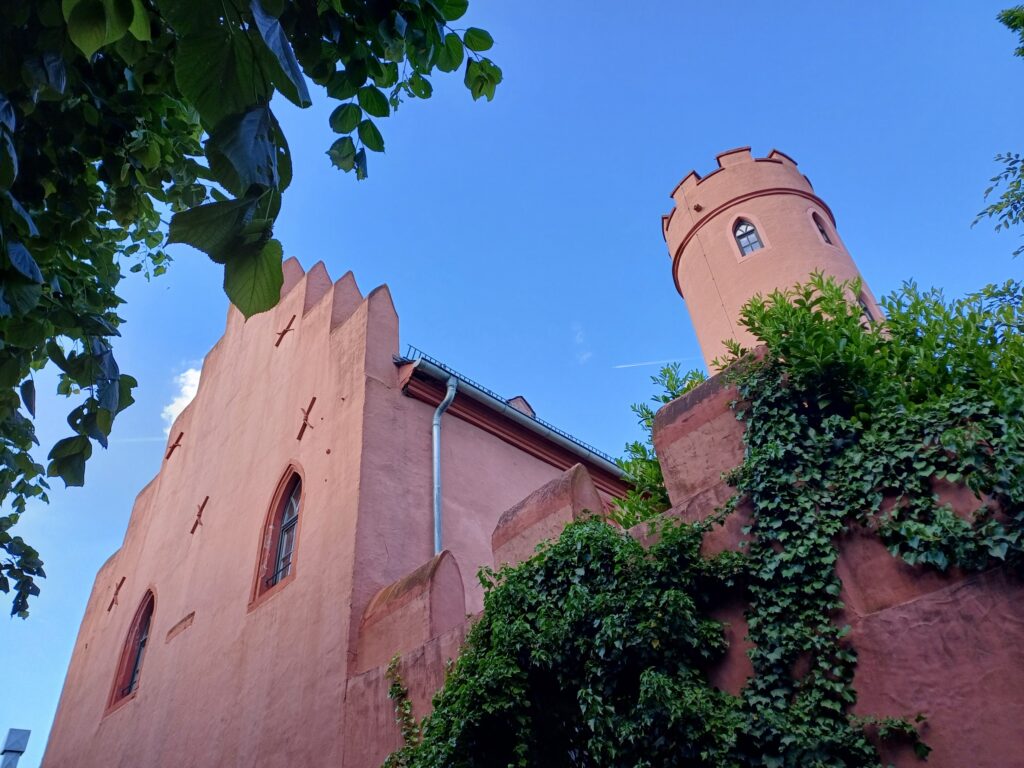 Blick auf Rheinschloss mit Booten – Rheingau bei Oestrich-Winkel