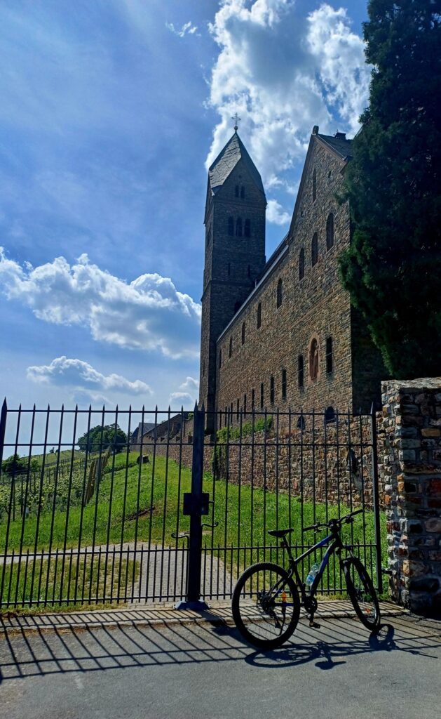 Weinberg-Panorama im Mai – Rheingau bei Oestrich-Winkel