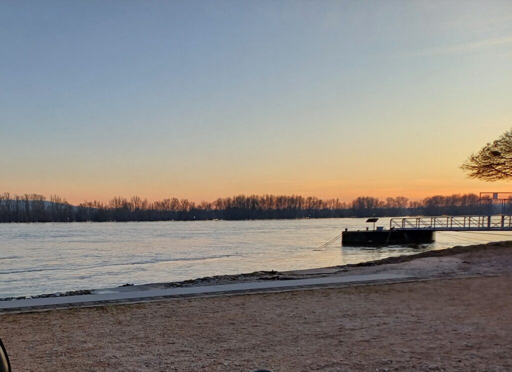Winterliches Rheinufer im Abendlicht – Rheingau im Januar